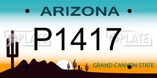 P1417 Arizona License Plate