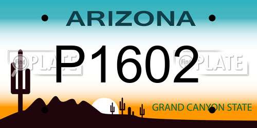 P1602 Arizona License Plate