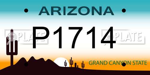 P1714 Arizona License Plate
