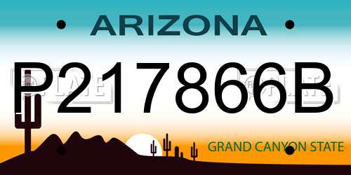 P217866B Arizona License Plate