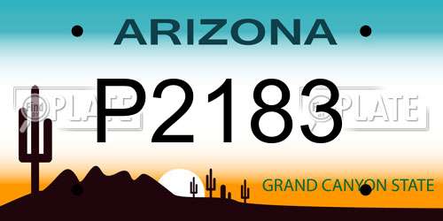 P2183 Arizona License Plate