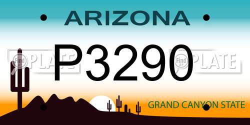 P3290 Arizona License Plate