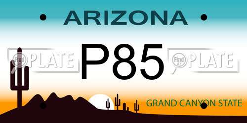 P85 Arizona License Plate