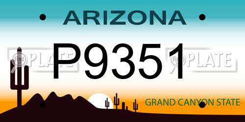 P9351 Arizona License Plate