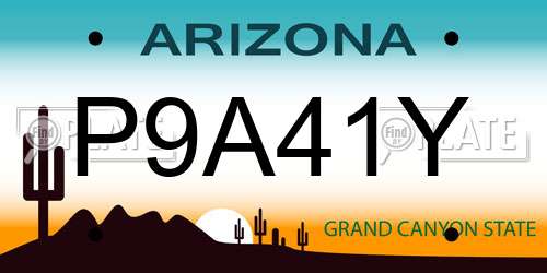 P9A41Y Arizona License Plate