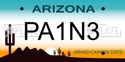 PA1N3 Arizona License Plate
