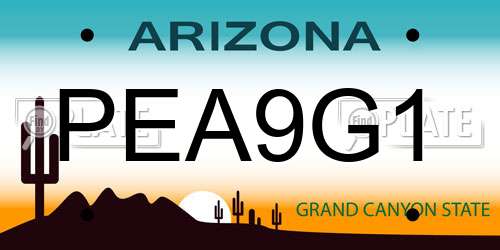 PEA9G1 Arizona License Plate