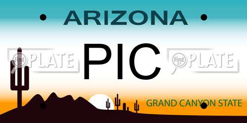PIC Arizona License Plate