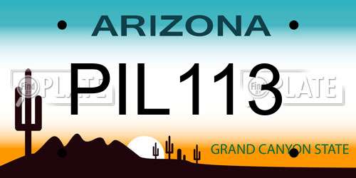 PIL113 Arizona License Plate