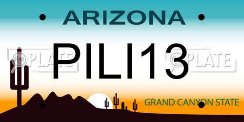 PILI13 Arizona License Plate