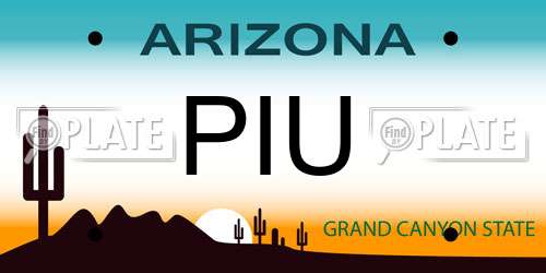 PIU Arizona License Plate