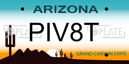 PIV8T Arizona License Plate