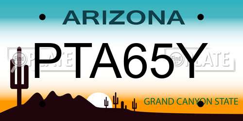 PTA65Y Arizona License Plate