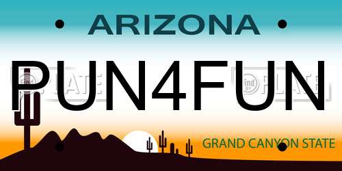PUN4FUN Arizona License Plate