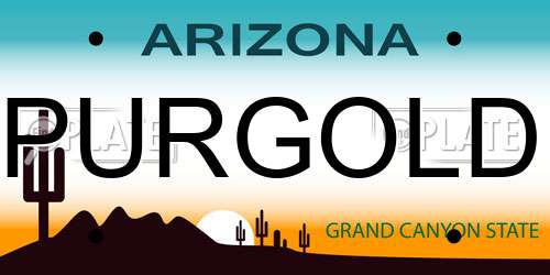 PURGOLD Arizona License Plate