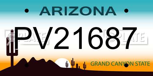PV21687 Arizona License Plate