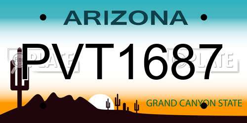 PVT1687 Arizona License Plate