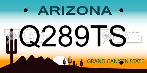 Q289TS Arizona License Plate