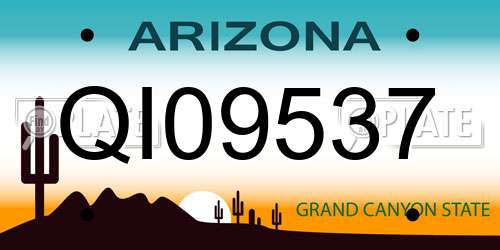 QI09537 Arizona License Plate