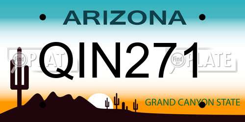 QIN271 Arizona License Plate