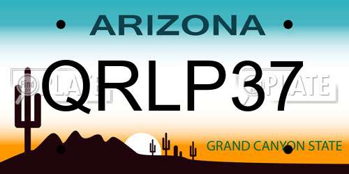 QRLP37 Arizona License Plate