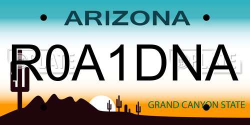 R0A1DNA Arizona License Plate