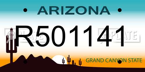 R501141 Arizona License Plate