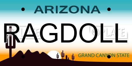 RAGDOLL Arizona License Plate