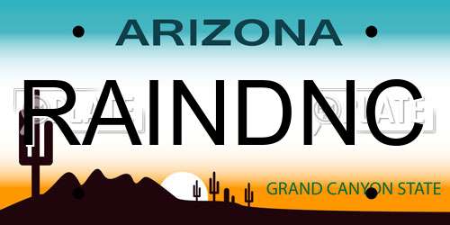 RAINDNC Arizona License Plate
