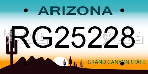 RG25228 Arizona License Plate