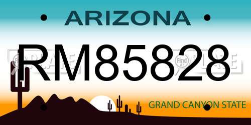 RM85828 Arizona License Plate