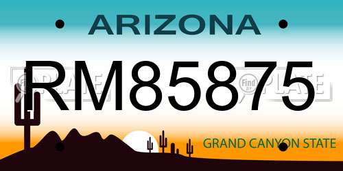 RM85875 Arizona License Plate