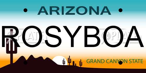 ROSYBOA Arizona License Plate