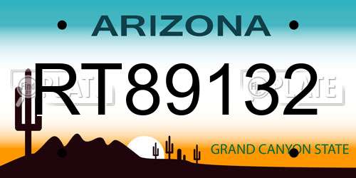 RT89132 Arizona License Plate