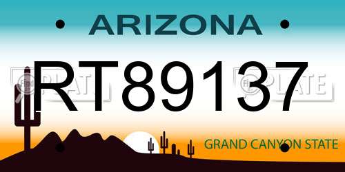 RT89137 Arizona License Plate