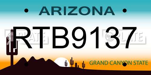 RTB9137 Arizona License Plate