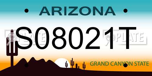 S08021T Arizona License Plate