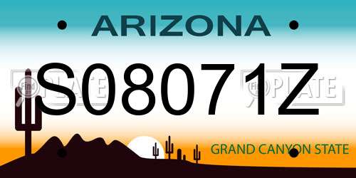 S08071Z Arizona License Plate