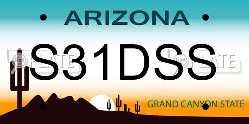 S31DSS Arizona License Plate