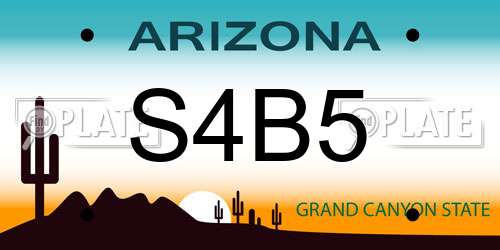 S4B5 Arizona License Plate