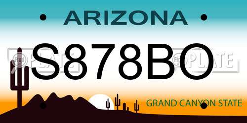 S878BO Arizona License Plate