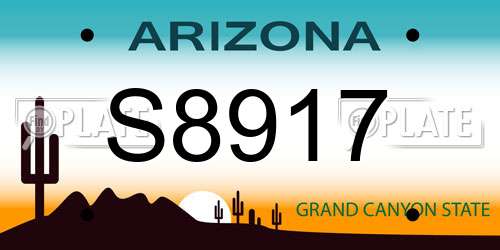 S8917 Arizona License Plate