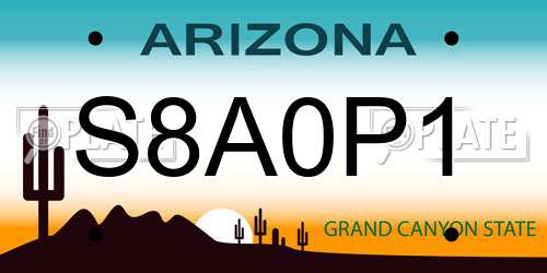 S8A0P1 Arizona License Plate