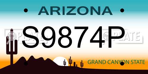 S9874P Arizona License Plate