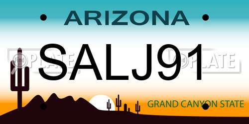 SALJ91 Arizona License Plate