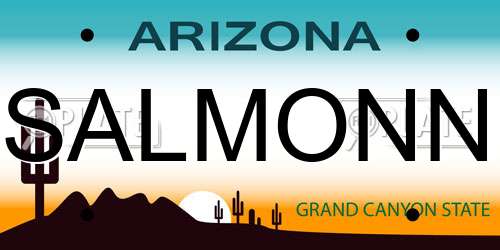 SALMONN Arizona License Plate