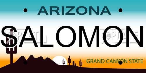 SALOMON Arizona License Plate
