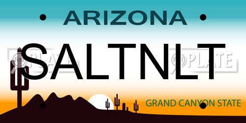 SALTNLT Arizona License Plate