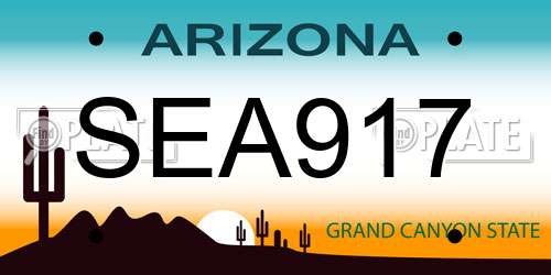 SEA917 Arizona License Plate