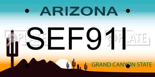 SEF91I Arizona License Plate